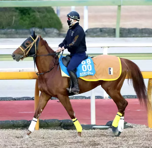 【佐賀記念】佐賀出身・川田将雅騎手のカズタンジャーは６番　中島記念制覇のアウトドライブは７番　枠順確定