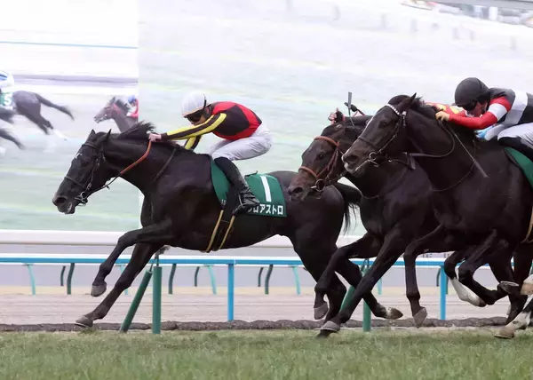 【きさらぎ賞】ラスト１００メートルでスイッチ入った！開催２日スライド乗り越えゾロアストロ重賞初制覇