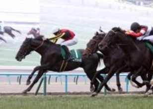 【きさらぎ賞】ラスト１００メートルでスイッチ入った！開催２日スライド乗り越えゾロアストロ重賞初制覇