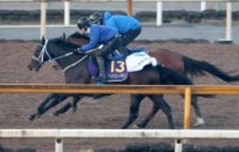 【フェブラリーＳ・１週前】２連勝中のハッピーマンがリズム良く走破　寺島調教師「いい意味でズブさが出てきた」