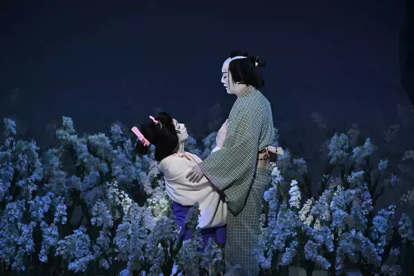 若手注目の中村壱太郎＆尾上右近が南座で大奮闘　「国宝」にも登場した“曽根崎心中”が連日の大入り