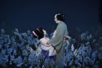 若手注目の中村壱太郎＆尾上右近が南座で大奮闘　「国宝」にも登場した“曽根崎心中”が連日の大入り