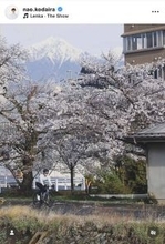 五輪金メダリスト・小平奈緒さん「私の余白時間は…」松本での生活つづる