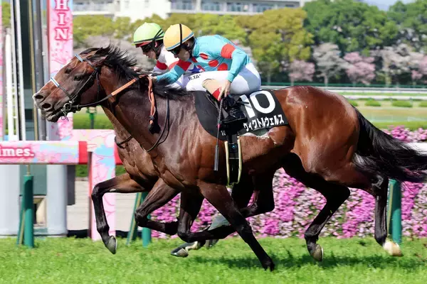 【大阪―ハンブルクＣ】ルメール騎手「長い距離でいい馬」と評価　１番人気ウィクトルウェルスが接戦制す　