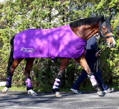 【皐月賞・金曜調整】アドマイヤクワッズは報知杯弥生賞３着も友道調教師は収穫を強調　「距離のメドは立ちました」