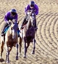 【オークス・１週前】桜花賞９着から巻き返しを図るドリームコアは１馬身先着　萩原調教師「全体的に良かった」