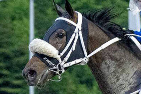 「え？」「競馬に絶対はない」単勝１・２倍の断然人気馬まさかの黒星にネット驚き　九州優駿栄城賞２着のサキドリトッケン