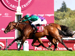 凱旋門賞の人気上昇　パリ大賞でＧ１初制覇の英３歳牡馬　日本馬で最上位人気はメイショウタバル＆アドマイヤテラ