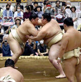「関脇・熱海富士、横綱・大の里に５勝６敗と善戦　元横綱・稀勢の里も「間違いなく大関に上がる」と絶賛　秋場所で昇進目指す…大相撲夏巡業」の画像1