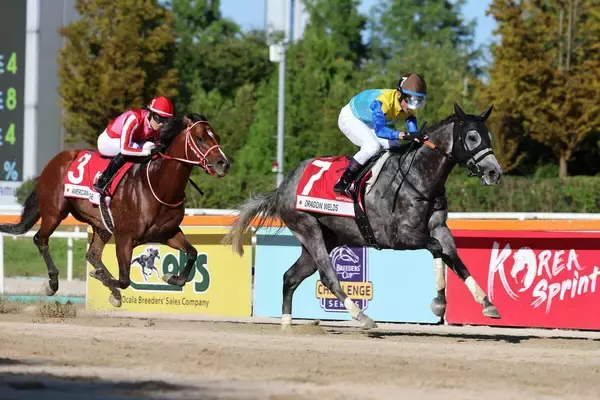 【コリアスプリント】ドラゴンウェルズが海外重賞初挑戦で初制覇　日本調教馬は５勝目　アメリカンステージ２着