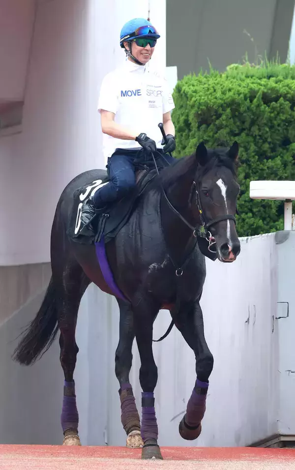 【神戸新聞杯】５・９億円馬が菊切符取りへ武豊と初コンビ　エムズビギンは「いい馬ですよ、間違いなく」