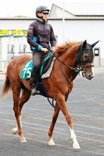 【札幌５Ｒ新馬戦】武豊騎手の手綱でデビューＶだ！水準以上のタイム叩き出したモーリス産駒の牡馬