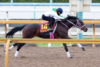 【阪神ＪＦ・１週前】まだまだ上昇気配！　栗東・ＣＷコースで好時計　タイセイボーグに松下調教師「だんだんしっかりしてきている」