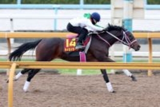 【阪神ＪＦ・１週前】まだまだ上昇気配！　栗東・ＣＷコースで好時計　タイセイボーグに松下調教師「だんだんしっかりしてきている」