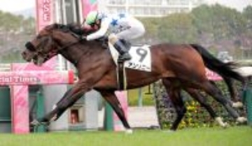 【阪神５Ｒ・２歳新馬】アンソニーが差し切りＶ　Ｍデムーロ騎手はＪＲＡで６月以来の勝利「よかった！」