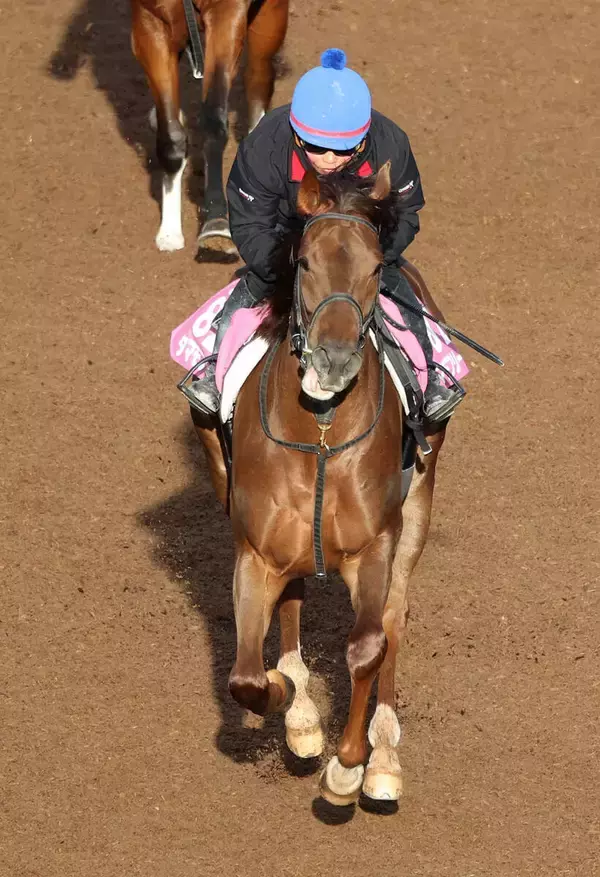 【全日本２歳優駿】タマモフリージアは追い込むも首差２着　田口貫太騎手「よく伸びた」「牡馬を相手にいい走り」
