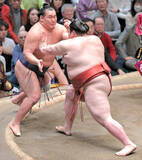 「熱海富士が初金星　過去５勝４敗の豊昇龍に快勝　７連勝で優勝争い　「親方に教えてもらったことができるようになってきた」」の画像1