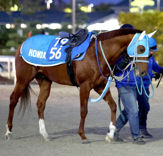 【京都記念】ゴールドシップ産駒メイショウブレゲが元気に参戦　陣営「状態のいい今回でどれだけ動けるか」