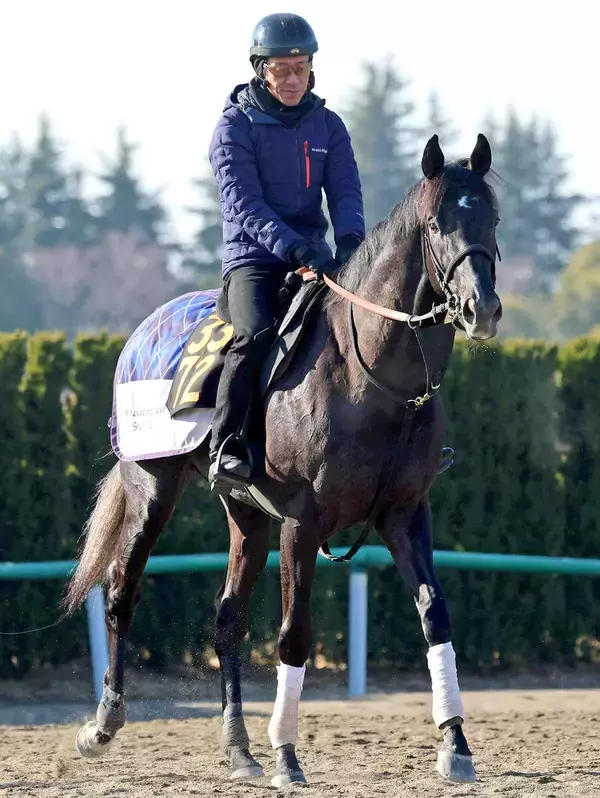 【注目馬動向】きさらぎ賞制したゾロアストロは皐月賞に直行