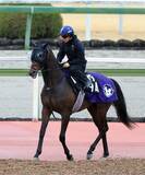 「【報知杯弥生賞・理貴の特注馬】素質確かなバステールの躍進に期待　ここで結果を出しクラシック戦線へ」の画像1