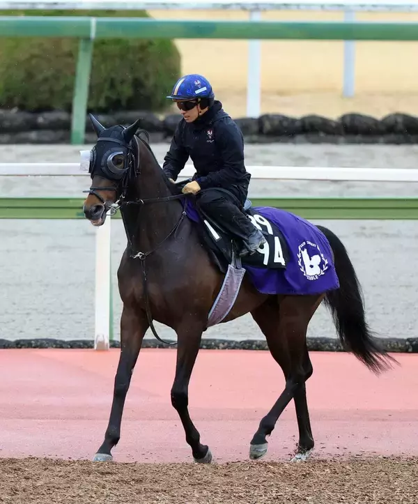 【報知杯弥生賞・理貴の特注馬】素質確かなバステールの躍進に期待　ここで結果を出しクラシック戦線へ