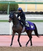 【報知杯弥生賞・理貴の特注馬】素質確かなバステールの躍進に期待　ここで結果を出しクラシック戦線へ