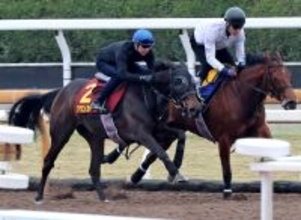 【桜花賞・１週前】「いい内容だった」「本番でも楽しみ」武豊騎手は俊敏な加速見せたアランカールを高評価　