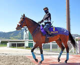 「【皐月賞】カヴァレリッツォが１枠１番から１冠目Ｖだ　ナリタブライアンにコントレイル　後の３冠馬２頭と同じ馬番」の画像1