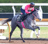 「【注目馬動向】キャンディードがＮＨＫマイルＣを鼻出血のため見送り　２歳時にスターアニスを撃破」の画像1