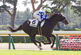 【注目馬動向】田辺裕信騎手が評価するコラリオンは百日草特別が本線　アイビーＳや東京スポーツ杯２歳Ｓも選択肢に