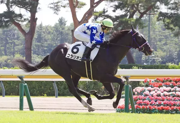 【注目馬動向】田辺裕信騎手が評価するコラリオンは百日草特別が本線　アイビーＳや東京スポーツ杯２歳Ｓも選択肢に
