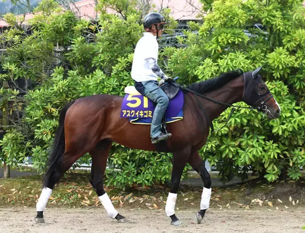 【注目馬動向】ＢＣマイル目指すアスクイキゴミが栗東で初時計　藤原調教師「休養で、体がしっかりしてきた」