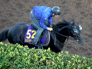 【天皇賞・秋】クロワデュノールは１枠１番「他の馬の並び的に悪くない」