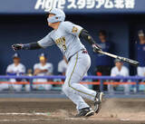 「【阪神】オープン戦開幕は中日と引き分け　高橋遥人が２回５Ｋ、大山悠輔が猛打賞」の画像1