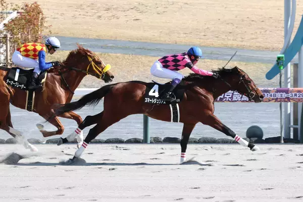【中京１０Ｒ・昇竜Ｓ】スマートジュリアスが上がり最速で差し切る　武豊騎手「非常に乗りやすい馬」