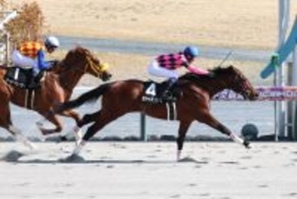 【中京１０Ｒ・昇竜Ｓ】スマートジュリアスが上がり最速で差し切る　武豊騎手「非常に乗りやすい馬」