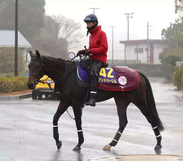 【チャーチルダウンズＣ】Ｇ１で１番人気の素質馬アンドゥーリルが巻き返し狙う　陣営「マイルがいい方に出れば」