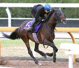 【皐月賞】報知杯弥生賞勝ち馬バステールの大外８枠１８番は９０年以降３勝　斉藤崇調教師「ちょっと外過ぎかなと]