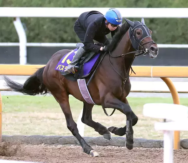 【皐月賞】報知杯弥生賞勝ち馬バステールの大外８枠１８番は９０年以降３勝　斉藤崇調教師「ちょっと外過ぎかなと]