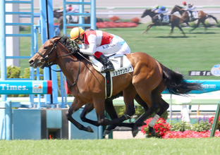 【函館１Ｒ・２歳未勝利】ゴール前鋭伸のショウナンカノアが初勝利　次走は馬の状態を最優先に函館２歳Ｓ参戦も視野