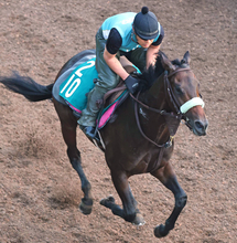 【函館２歳Ｓ】前川調教師がＪＲＡ女性トレーナー初の重賞制覇へ　ロンドンガーズに陣営「勝てるポテンシャルはある」
