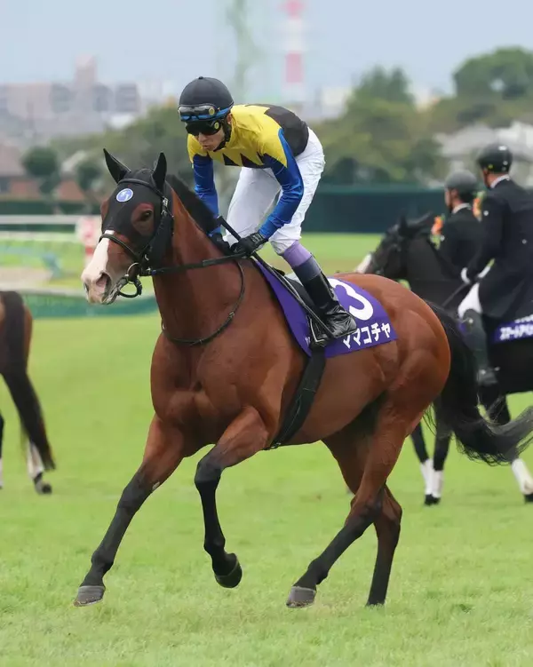 ７歳ママコチャが引退　繁殖入り　２３年にスプリンターズＳでＧ１初制覇　４年連続挑戦だったラストランは１０着