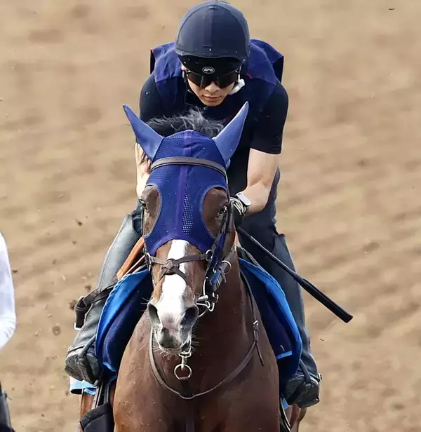 【注目馬動向】ローシャムパークが一気の距離延長！　ステイヤーズＳ参戦をサンデーサラブレッドクラブが発表