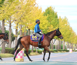 【天皇賞・秋・浅子の特注馬】レガレイラは右回り専用とは決めつけられない　左回り未勝利も見限れない理由
