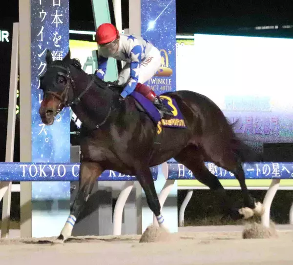 ソニックスターがマイルＧＰ優勝　藤田輝信調教師「思った以上」圧勝で重賞初制覇