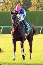 【鳴尾記念】３頭のＧ１馬の半弟・１番人気グランヴィノスは４着　川田将雅騎手「今日できる精いっぱいの走りです」