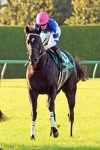 【鳴尾記念】３頭のＧ１馬の半弟・１番人気グランヴィノスは４着　川田将雅騎手「今日できる精いっぱいの走りです」