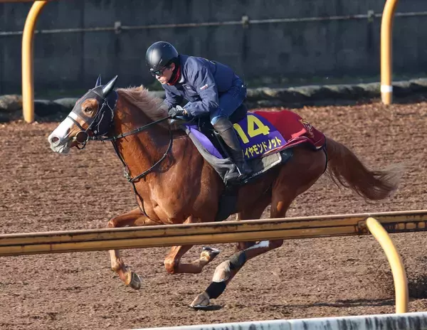 【朝日杯ＦＳ１週前】ダイヤモンドノットは追走先着　福永調教師「うまく脚をためてくれれば」ルメール騎手に期待