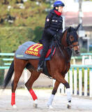 「【阪神ＪＦ】アルテミスＳ２着のミツカネベネラは２枠３番　鈴木伸調教師「少し馬場が渋ってくれるといい」」の画像1