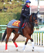 【阪神ＪＦ】アルテミスＳ２着のミツカネベネラは２枠３番　鈴木伸調教師「少し馬場が渋ってくれるといい」